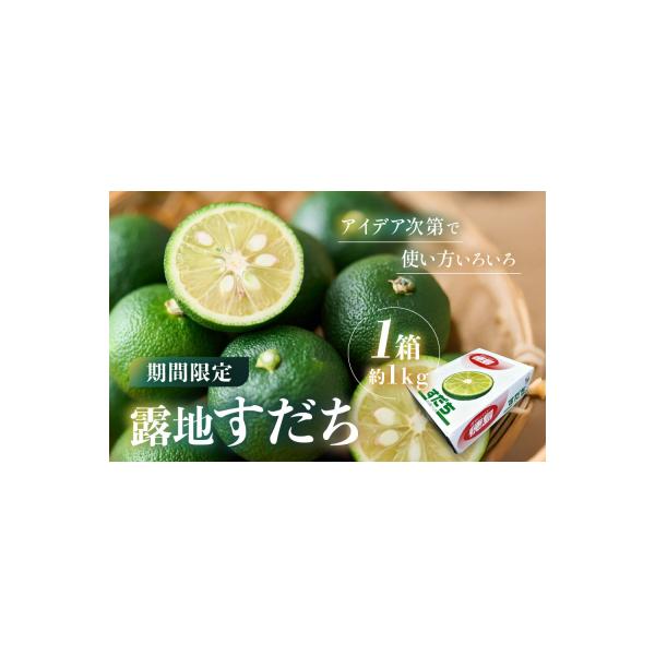 先行予約 露地すだち 1箱(約1kg)【FL009】