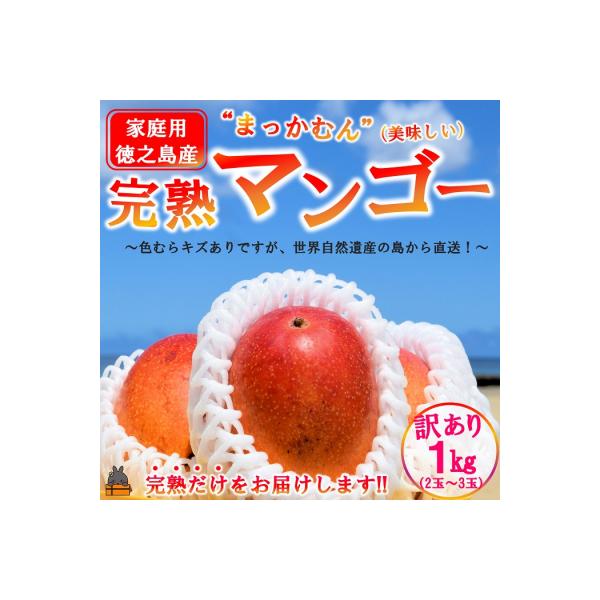 ≪先行予約≫訳あり!【家庭用】徳之島産完熟マンゴー1kg(2～3玉)