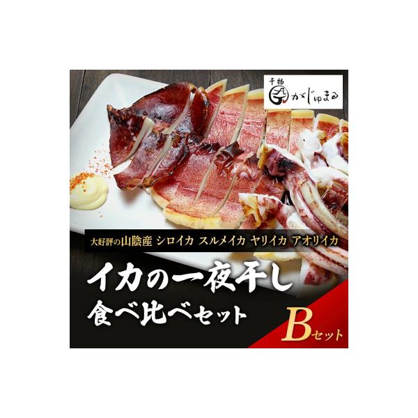 シロイカ入りイカの一夜干し食べくらべセット(Bセット)