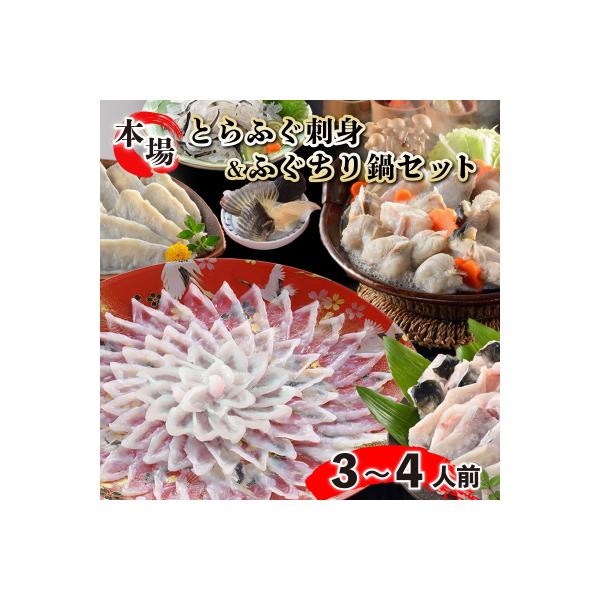 とらふぐ刺身とふぐちりセット ふぐひれ付き 3～4人前 冷蔵 (解凍出荷) 下関 山口 FG022