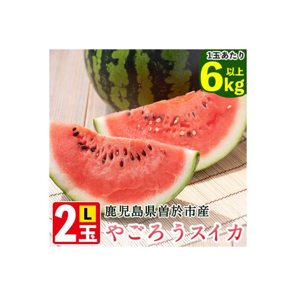 やごろうスイカ【L玉(6kg以上)×2個】