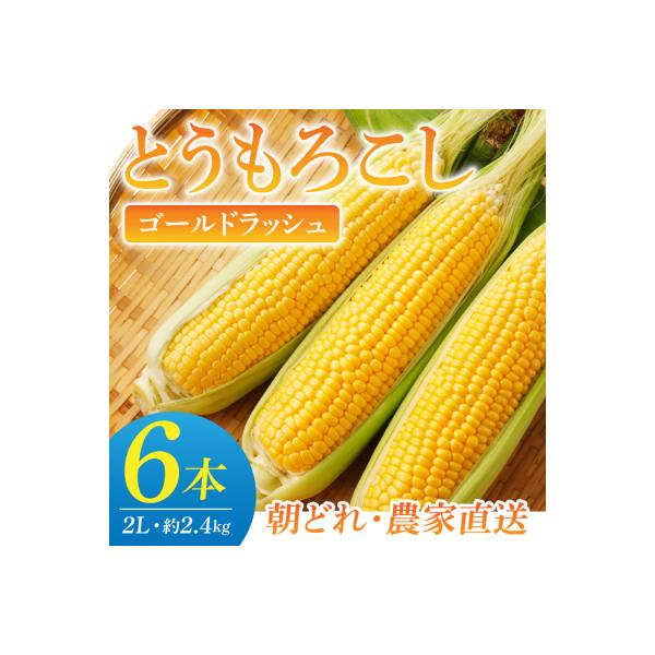 【先行受付2026年発送】農家直送!とうもろこし(ゴールドラッシュ)6本|小林菜園