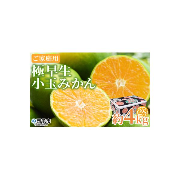 <極早生小玉みかん ご家庭用 約4kg> ご家庭用 果物 フルーツ みかん ミカン 蜜柑 オレンジ