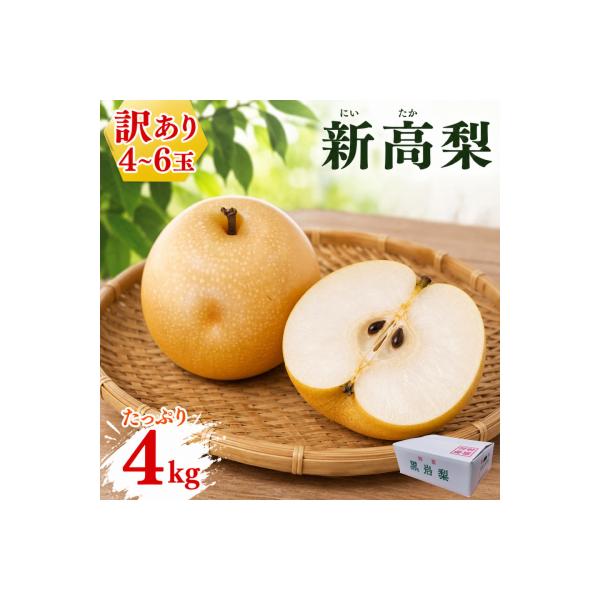 <2026年秋発送先行受付中!> ≪訳あり品(変形 キズあり)≫　新高梨 4～6玉 (約 4kg)