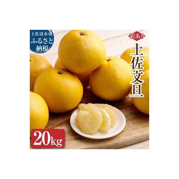 大人気　訳あり文旦　20kg 柑橘　39 オレンジ園 / 土佐文旦 訳あり品 20kg