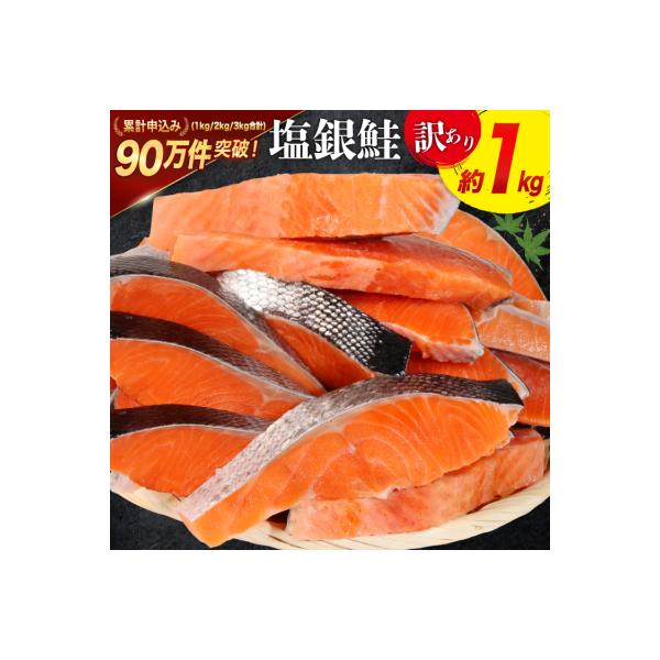 訳あり 鮭 切身 約1kg [宮城東洋 宮城県 気仙沼市 20564663] サーモン