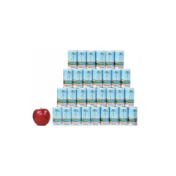 【奇跡の一本松】りんごジュース ストレート 195ml×30本セット