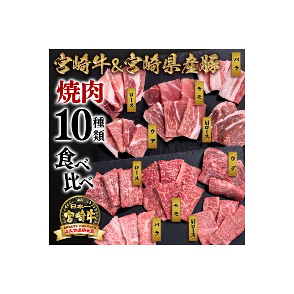 宮崎牛&宮崎県産豚肉 焼肉10種盛り　焼肉セット計600g[3003]