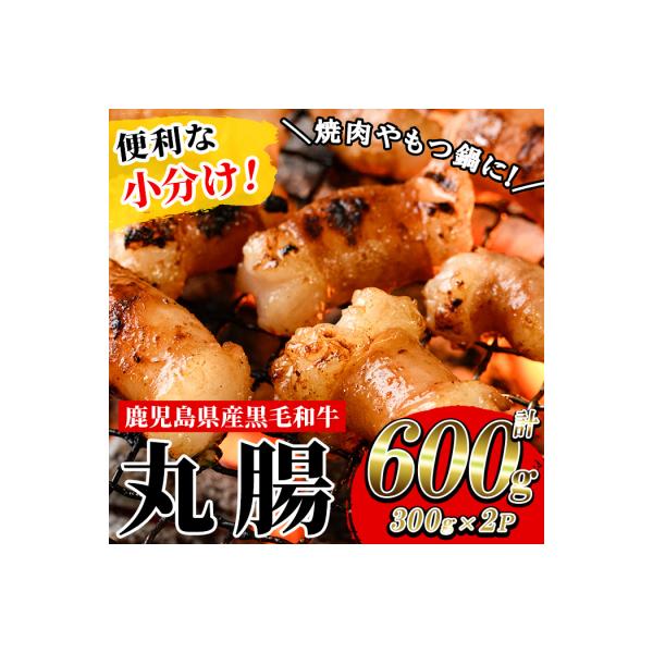 鹿児島県産黒毛和牛ホルモン 丸腸 約600g(300g×2P)