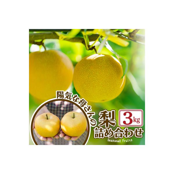 【先行予約】期間・数量限定【陽気な母さんの店】R8年産「季節の梨」(3kg)