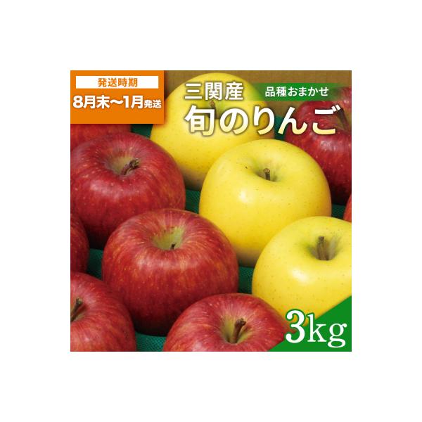 三関産 旬のりんご 秀品 3kg[M15101]