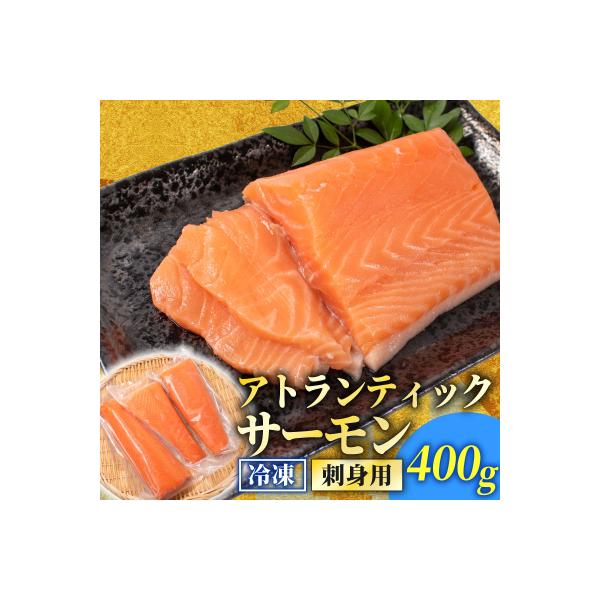 訳あり サーモンブロック 400g 冷凍 下関 山口 EY029-x