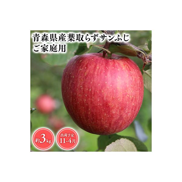 11月～4月発送　【訳あり】家庭用葉とらずサンふじ3kg　【そと川りんご園・りんご】