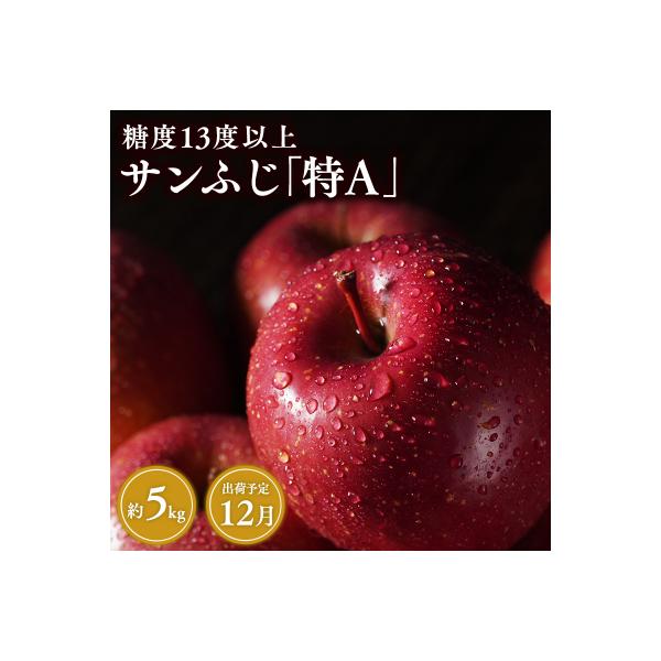 12月  サンふじりんご「特A」約5kg 糖度13度以上(14～20玉程度)【森山商店・平川市産】