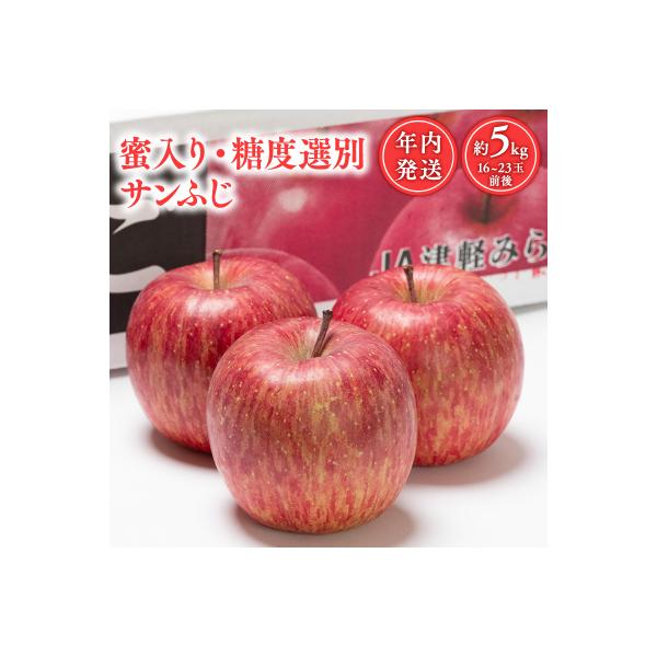 年内 蜜入り 糖度選別サンふじ約5kg 【JA津軽みらい・平川市産・青森りんご・12月】