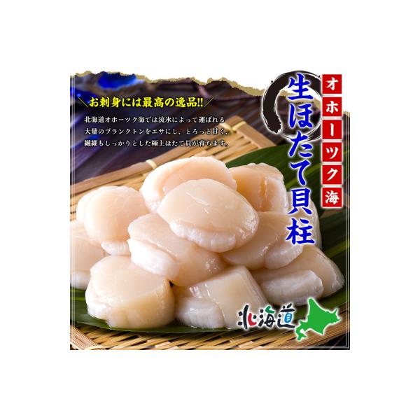 【甲羅組】ほたて貝柱 中型サイズ 1kg
