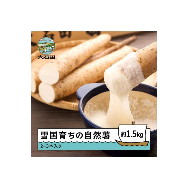 雪国育ちの自然薯 約1.5kg(2~3本入り) oz-zixxx15