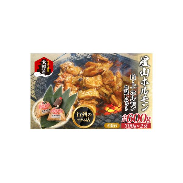 【全国ホルモン大会初代優勝】 星山ホルモン 白 ミックス  600g (各300g・たれ付)