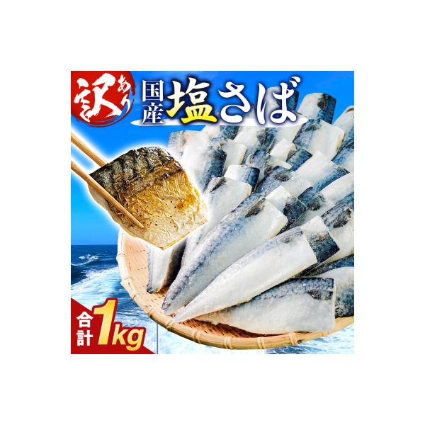 訳あり 塩サバフィーレ 1kg (10枚前後) 鯖 冷凍 不揃い 魚 お魚  おかず お弁当