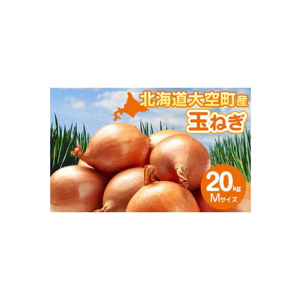 【先行予約】玉ねぎ Mサイズ 20kg 大空町産(2026年10月上旬より発送)