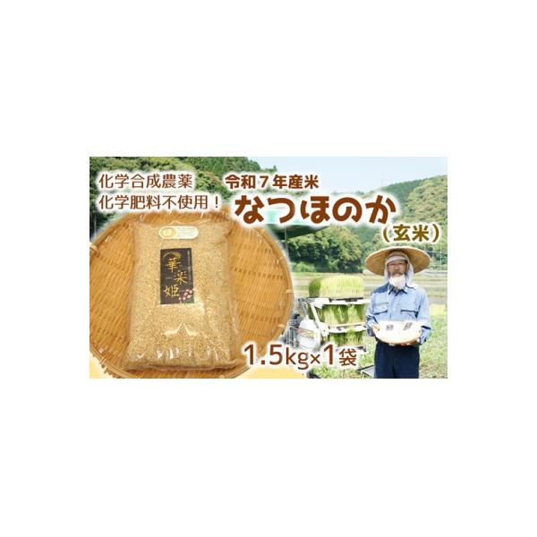 令和7年産米　なつほのか(玄米)1.5kg!栽培期間中、化学肥料等を使わずに育てたから安心安全!