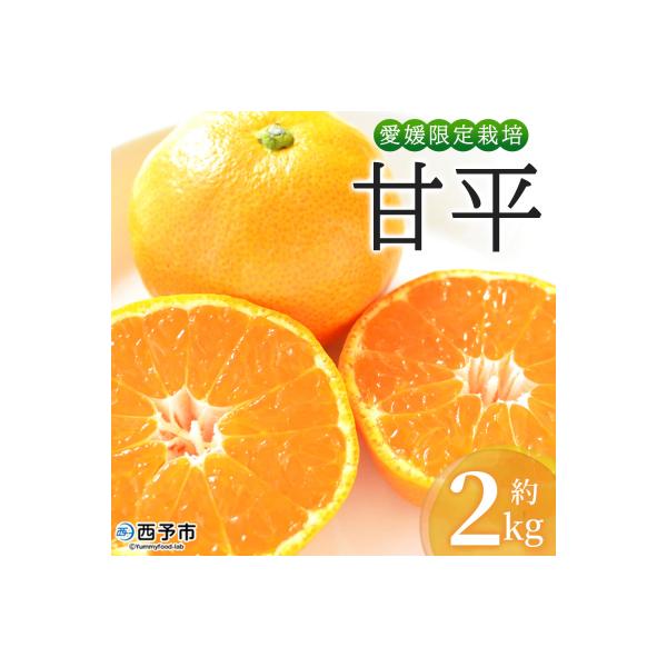 <おはこやがつくる 甘平 約2kg(L～3Lサイズ)> 果物 フルーツ 柑橘類 かんぺい カンペイ
