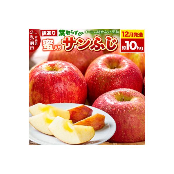 りんご【26年12月発送】葉取らずサンふじ【訳あり】約10kg　蜜入り|24_ems-031001b