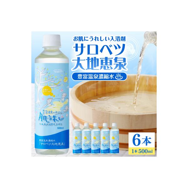 豊富温泉 濃縮温泉水 サロベツ大地恵泉 (500ml×6本)