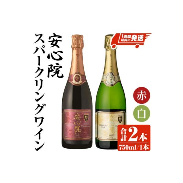 安心院スパークリングワイン白・赤(750ml×2本)【107302700】【時枝酒店】
