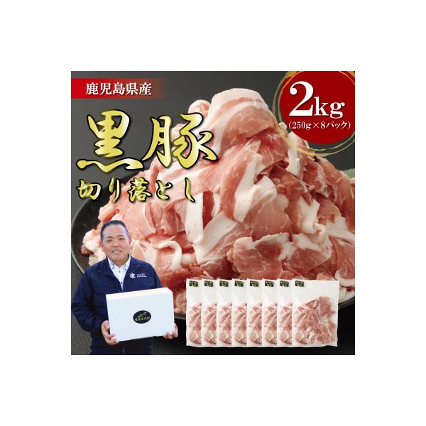 鹿児島県産 黒豚 切り落とし 2kg(250g×8パック)  鹿児島 豚肉 小分け ASR-2165