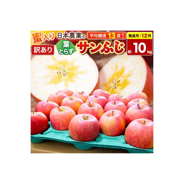 【26年12月発送】りんご 葉とらずサンふじ約10kg【訳あり】蜜入|24_nng-131001ag