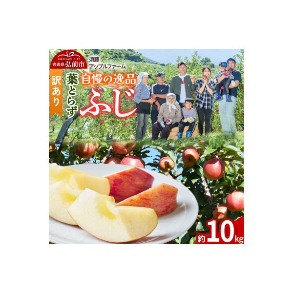 りんご【26年11月下旬～発送】葉とらずふじ【訳あり】10kg 先行受付|24_saf-061001