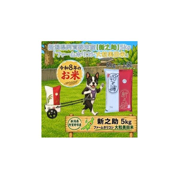 【令和7年産】数量限定!阿賀野市産新之助「ファームホリコシ 新之助」5kg 白米 精米