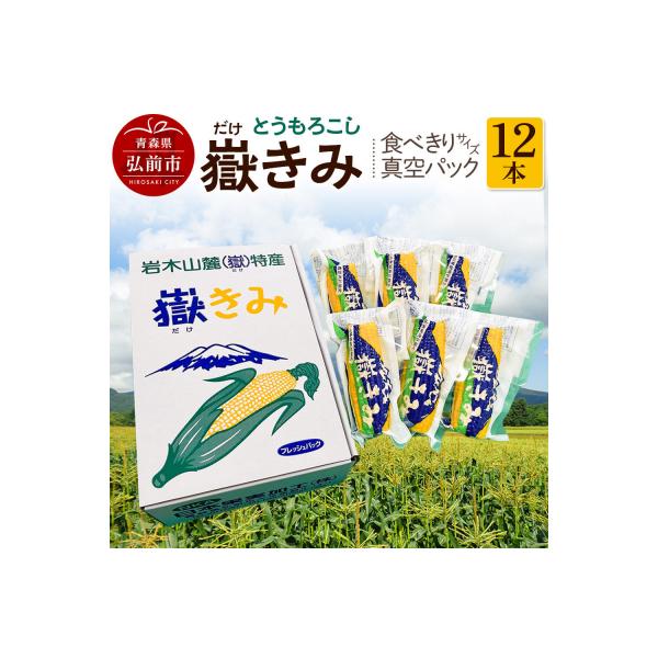 とうもろこし 嶽きみ真空パック家庭用　食べきりサイズ×12本|24_nkk-011201
