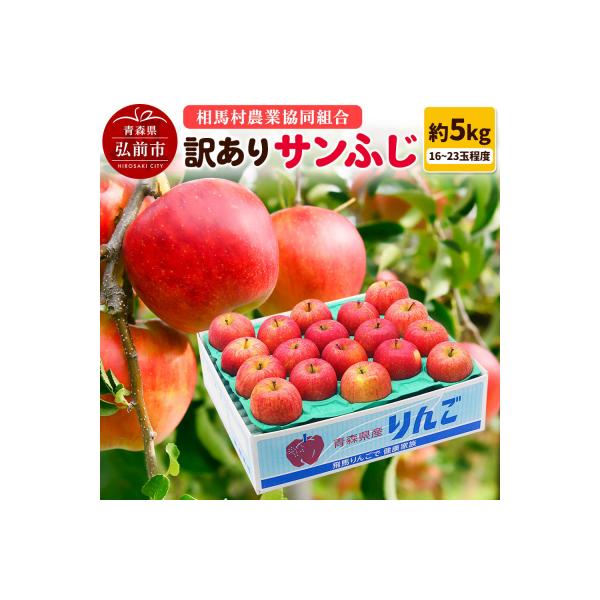 りんご【訳あり】サンふじ 約5kg(16～23玉程度)|24_snk-070501
