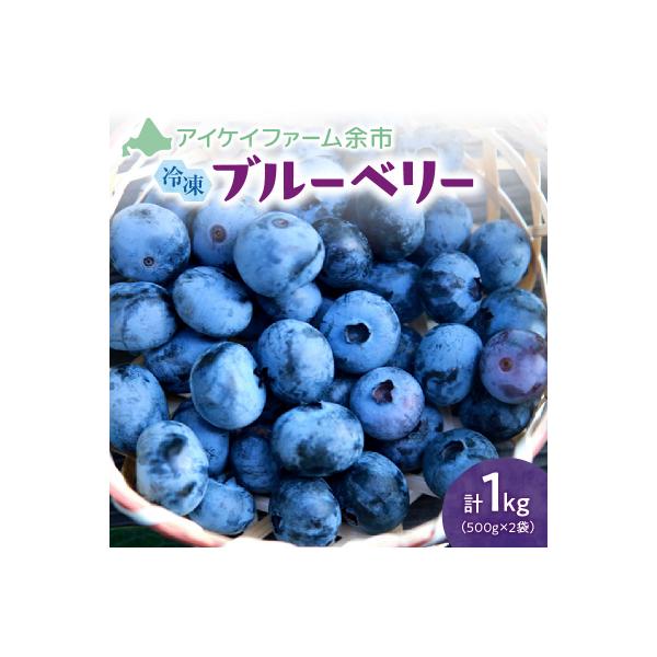 【2026年11月以降発送】冷凍ブルーベリー 500g×2袋(チャック付き袋)_Y111-0007