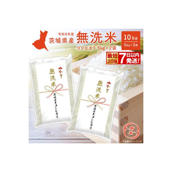 【無洗米/令和7年産】〈令和8年6月内発送〉コシヒカリ 10kg 茨城県産 米 無洗米 小分け