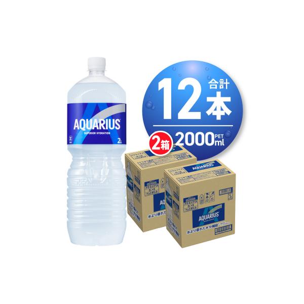 アクエリアス 2000ml PET×12本 ペットボトル 2箱 _hs137-003
