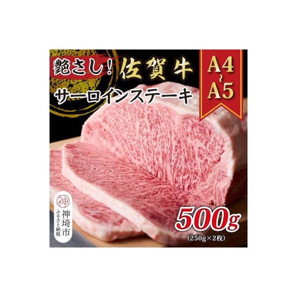 【A4～A5】佐賀牛サーロインステーキ 500g(250g×2枚)(H112105)