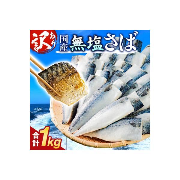 訳あり 無塩サバフィレ 1.0kg (10枚前後) 冷凍 さば 鯖 不揃い 魚 お魚 焼き魚