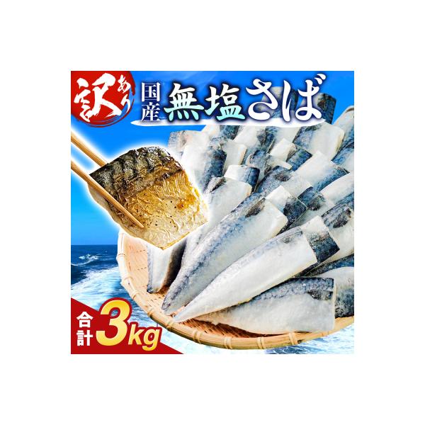 訳あり 無塩サバフィレ 3.0kg (30枚前後)  冷凍 さば 鯖 不揃い お魚 焼き魚