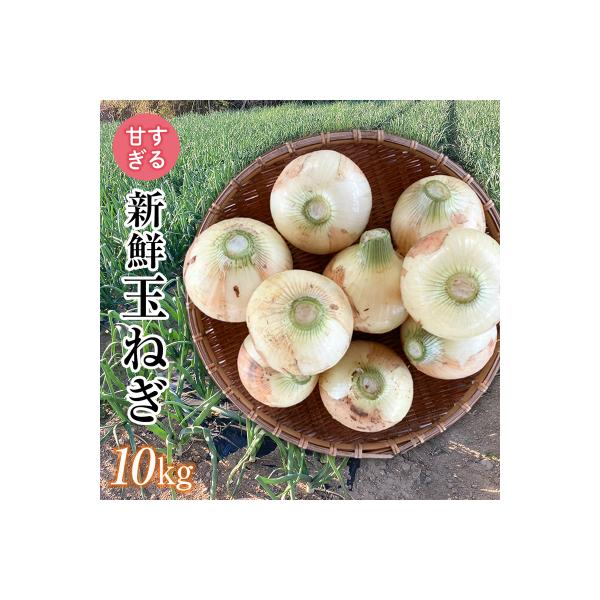 ■お礼品詳細　・内容量：玉ねぎ「早生」「甘七宝」のどちらか 10kg　・配送方法：通常便　・消費期限：出荷日より常温風通しのよい場所で2週間　・事業者：宮下正行　・提供元：富岡市■お申し込み・配送・その他　・発送時期：2026年6月1日〜6...