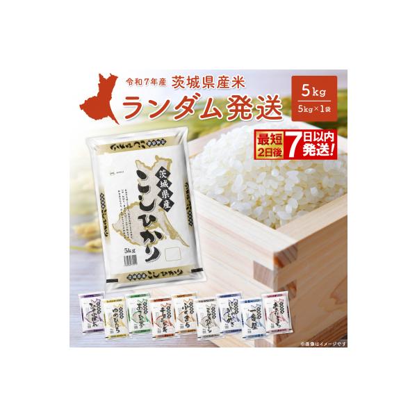 ランダム 5kg 〈令和8年6月内発送〉【令和7年産/白米】 米 精米 小分け  茨城県産
