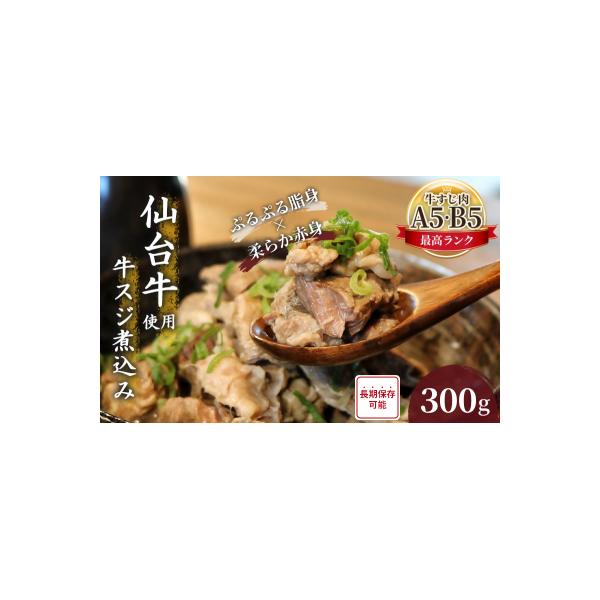 仙台牛 牛スジ煮込み 300g [No.5704-0590]
