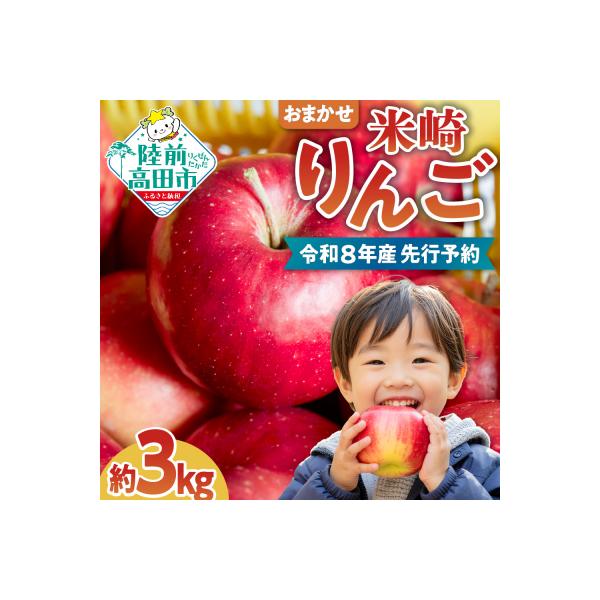 先行受付 米崎りんご3kg 品種おまかせ 数量限定 【 旬 りんご リンゴ フルーツ 家庭用 】