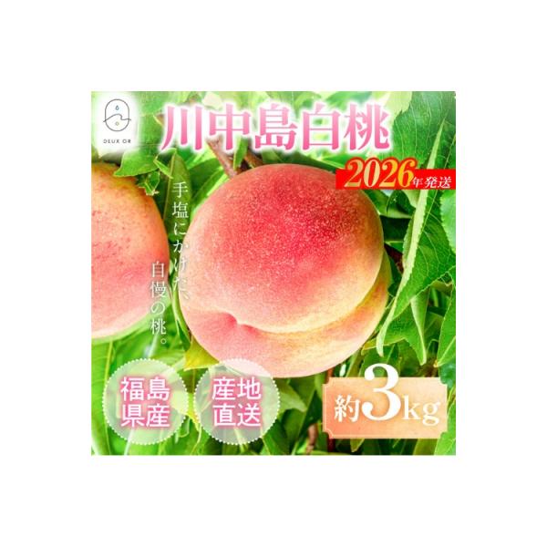 ■お礼品詳細　・事業者：カンノファーム　・内容量：約3kg　・賞味期限：発送日+3日※生もの(果物)ですので、できるだけお早めにお召し上がり下さい。　・配送方法：冷蔵便　・アレルギー：もも　・提供元：福島市■お申し込み・配送・その他　・発送...