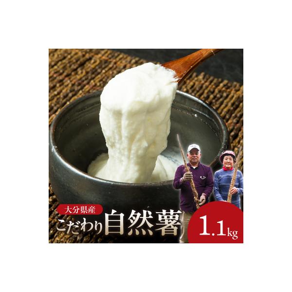 ■お礼品詳細　・配送方法：通常便　・提供事業者：後藤農園　・提供元：大分市■お申し込み・配送・その他　・発送時期：ご入金確認後、順次発送予定　・申込受付期間：期間限定:2026年4月30日まで　・配達外のエリア：　・寄付証明書の送付時期目安...