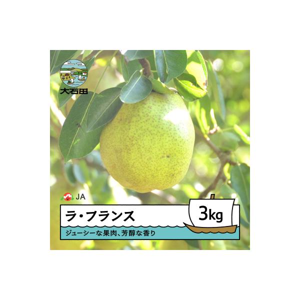■お礼品詳細　・産地：山形県　・保存方法：冷暗所で保存　・発送期間：2026年11月上旬~11月中旬頃 順次発送　・賞味期限：完熟(軸とその周りにシワがより、甘い香りが立ち始めたら)後すぐにお召し上がりください　・提供元：大石田町■お申し込...
