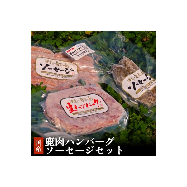 ■お礼品詳細　・提供元：石巻市■お申し込み・配送・その他　・発送時期：入金確認後、14日以内に発送予定　・申込受付期間：通年　・配達外のエリア：　・寄付証明書の送付時期目安：申込完了日から１〜３週間