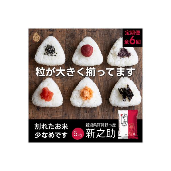 【令和7年産】【6か月定期便】 新之助 5kg×6回 計 30kg 米杜氏 壱成 白米 精米